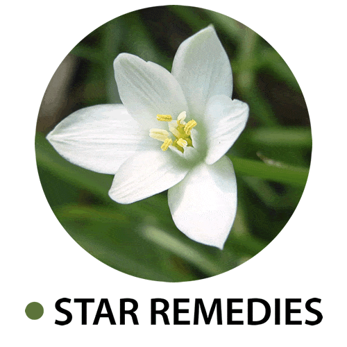 Bloesem Remedies van Star Remedies