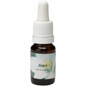 Pipetflesje 10ml. Bloesem Essence Aster | Star Remedies