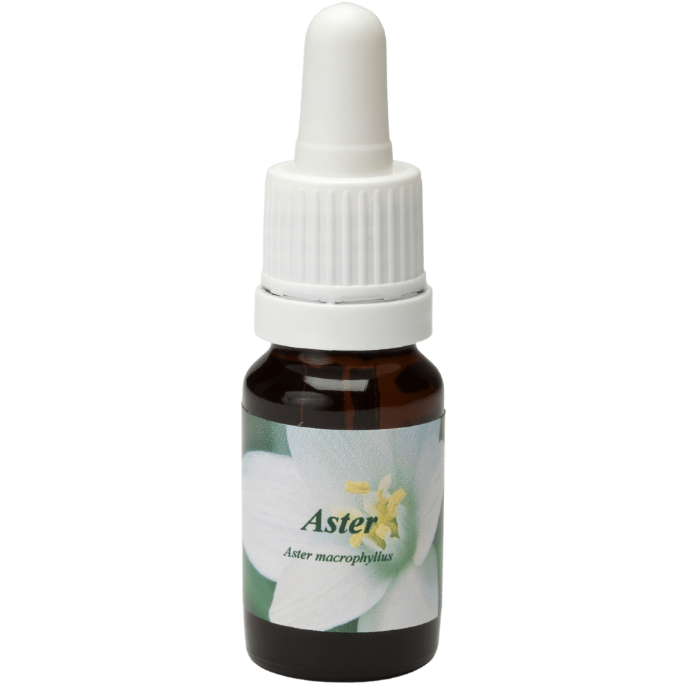 Pipetflesje 10ml. Bloesem Essence Aster | Star Remedies