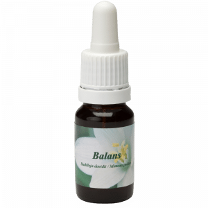 Pipetflesje 10ml. Bloesem Essence Balans | Star Remedies