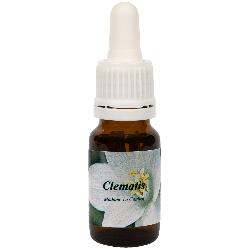 Pipetflesje 10ml. Bloesem Essence Clematis | Star Remedies