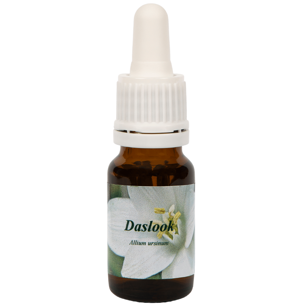 Pipetflesje 10ml. Bloesem Essence Daslook | Star Remedies