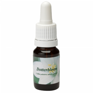 Pipetflesje 10ml. Bloesem Essence Dotterbloem | Star Remedies