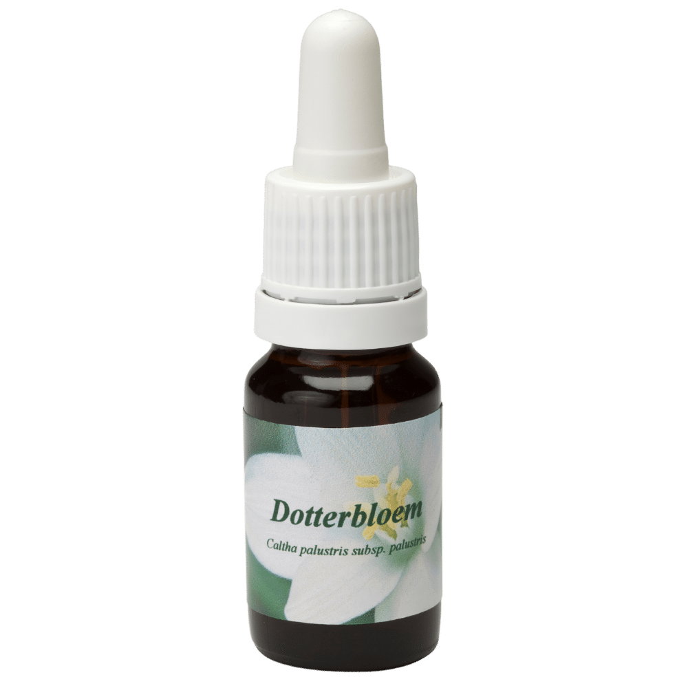Pipetflesje 10ml. Bloesem Essence Dotterbloem | Star Remedies