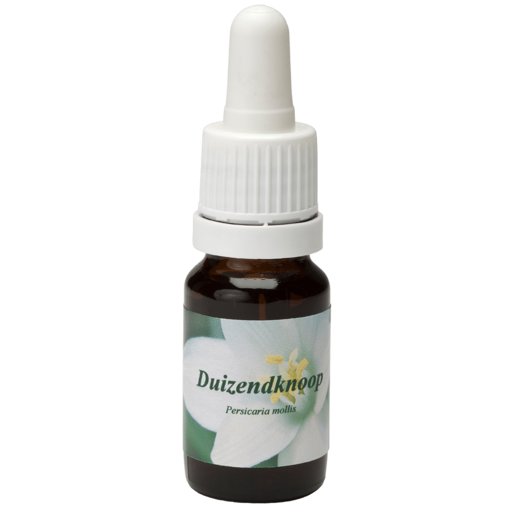 Pipetflesje 10ml. Bloesem Essence Duizendknoop | Star Remedies