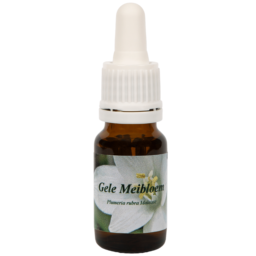 Pipetflesje 10ml. Bloesem Essence Gele Meibloem | Star Remedies