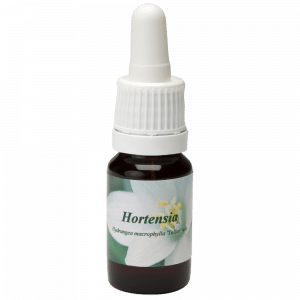 Pipetflesje 10ml. Bloesem Essence Hortensia | Star Remedies