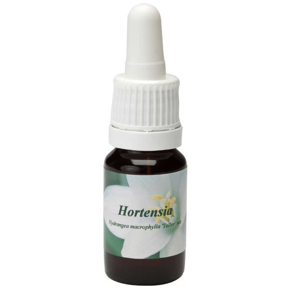 Pipetflesje 10ml. Bloesem Essence Hortensia | Star Remedies