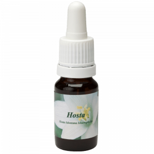 Pipetflesje 10ml. Bloesem Essence Hosta | Star Remedies