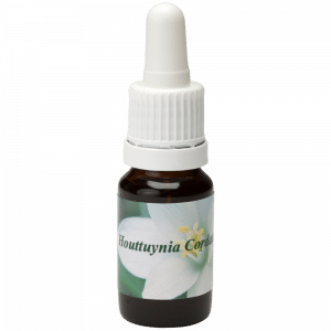 Pipetflesje 10ml. Bloesem Essence Houttuynia Cordata | Star Remedies