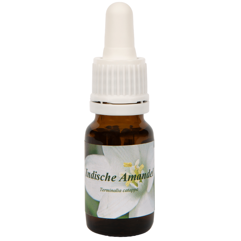 Pipetflesje 10ml. Bloesem Essence Indische amandel | Star Remedies