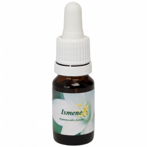 Pipetflesje 10ml. Bloesem Essence Ismene | Star Remedies