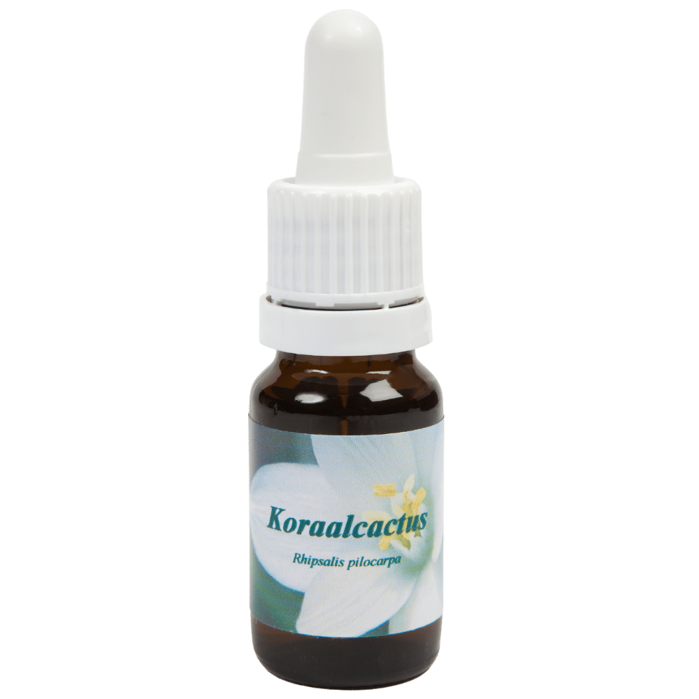 Pipetflesje 10ml. Bloesem Essence Koraalcactus | Star Remedies