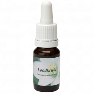 Pipetflesje 10ml. Bloesem Essence Loodkruid | Star Remedies