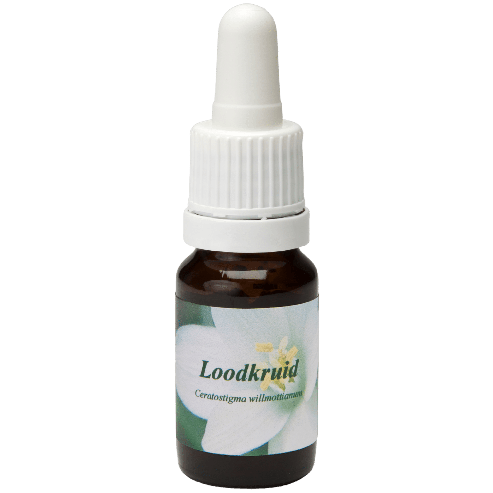 Pipetflesje 10ml. Bloesem Essence Loodkruid | Star Remedies