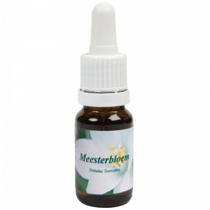 Pipetflesje 10ml. Bloesem Essence Meesterbloem | Star Remedies