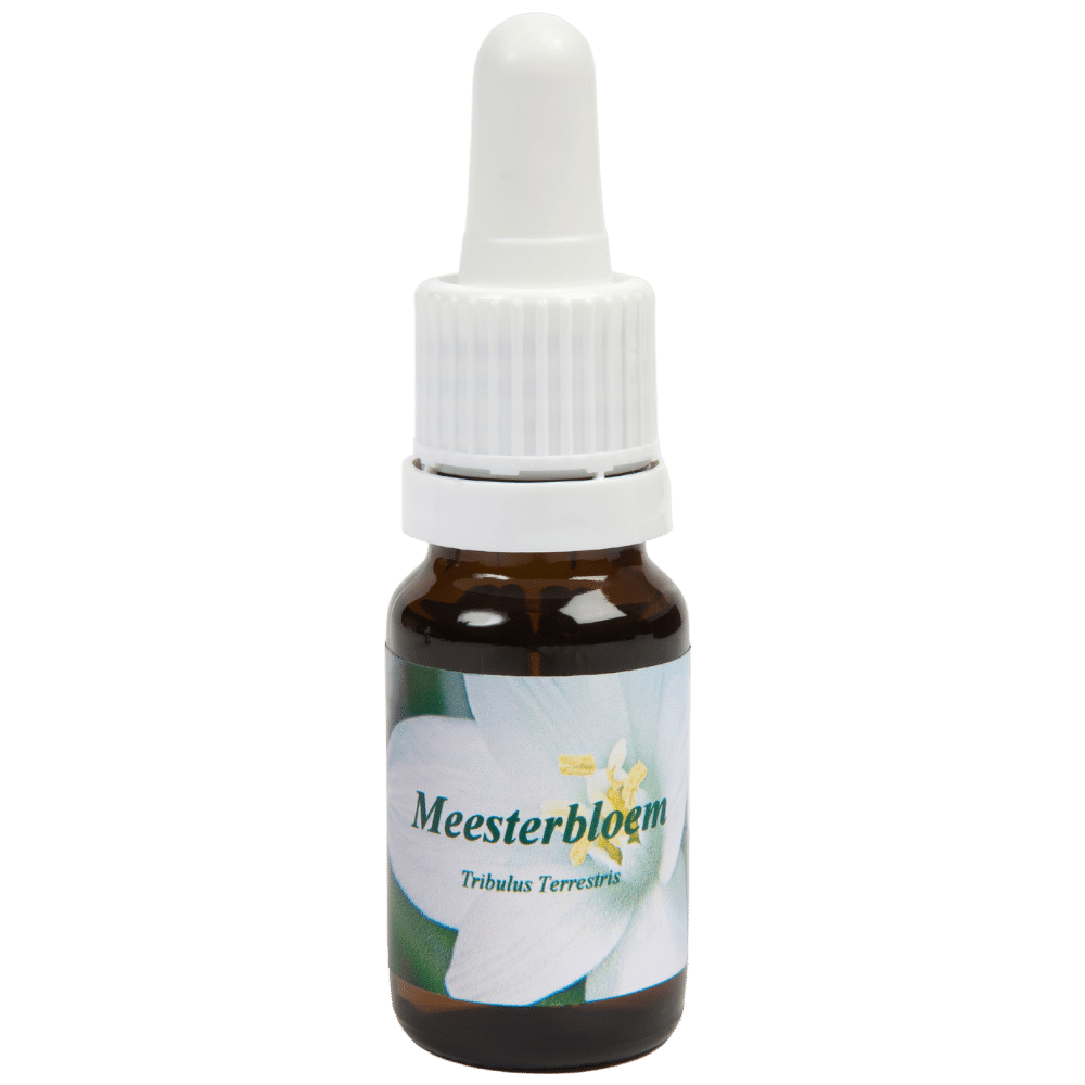 Pipetflesje 10ml. Bloesem Essence Meesterbloem | Star Remedies