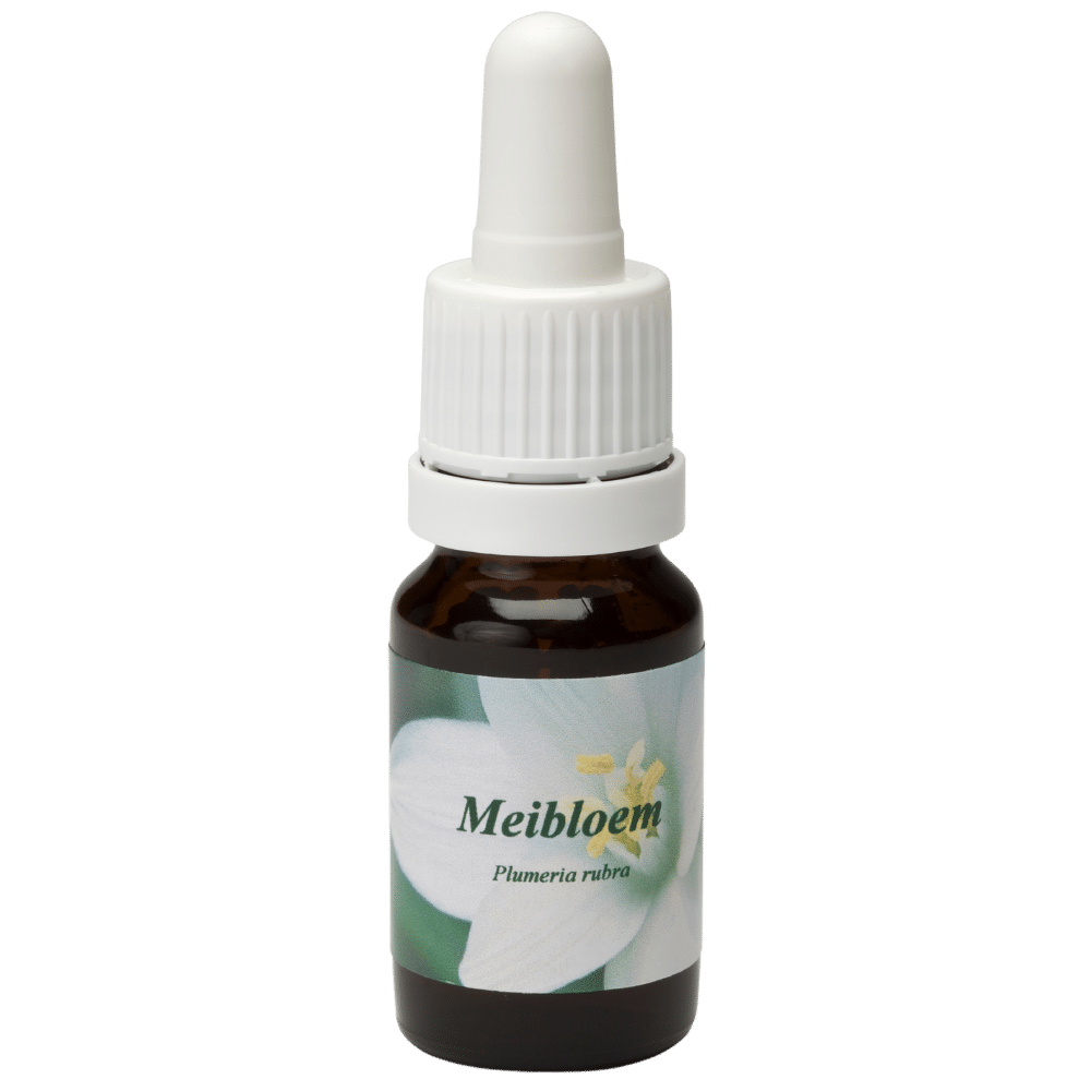 Pipetflesje 10ml. Bloesem Essence Meibloem | Star Remedies