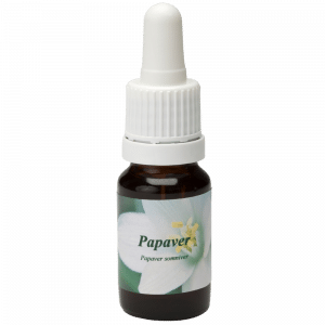 Pipetflesje 10ml. Bloesem Essence Papaver | Star Remedies