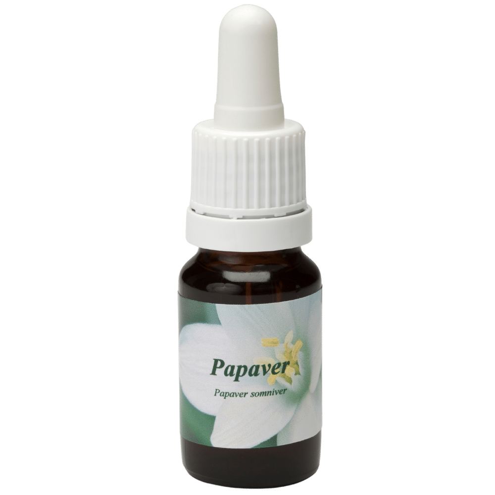 Pipetflesje 10ml. Bloesem Essence Papaver | Star Remedies