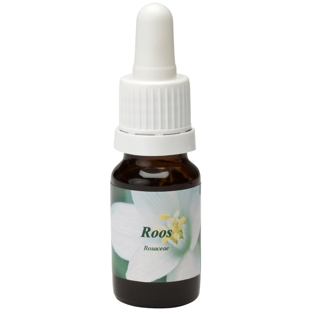Pipetflesje 10ml. Bloesem Essence Roos | Star Remedies