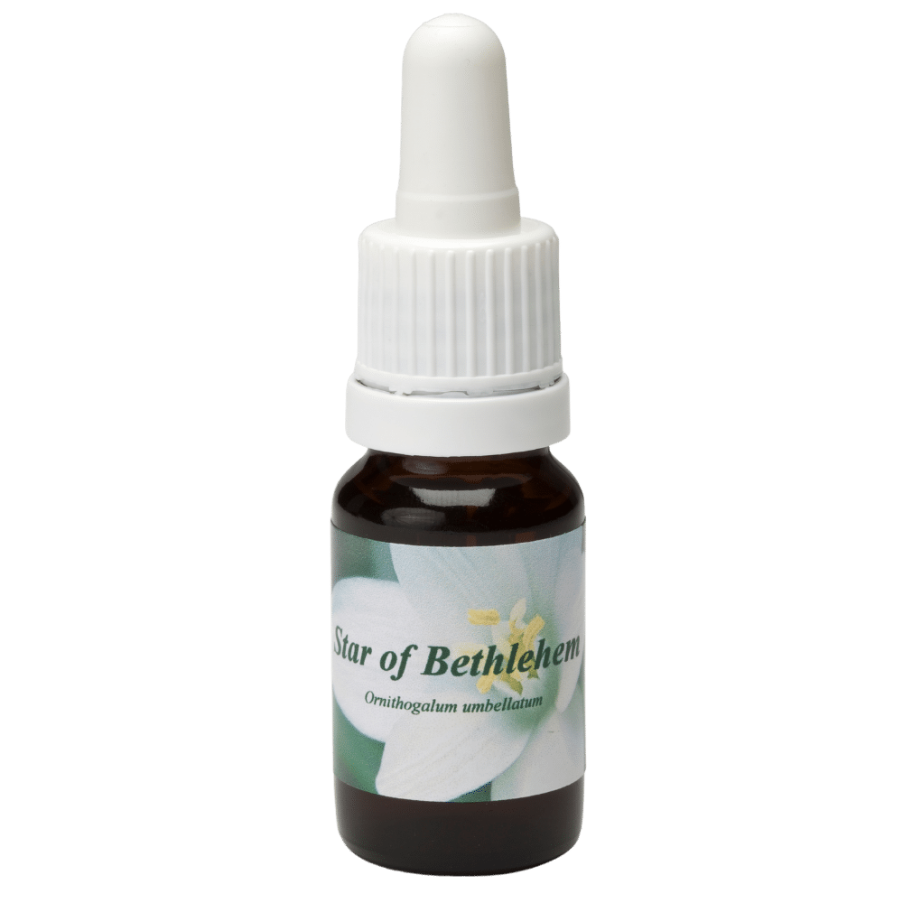 Pipetflesje 10ml. Bloesem Essence Star of Bethlehem | Star Remedies