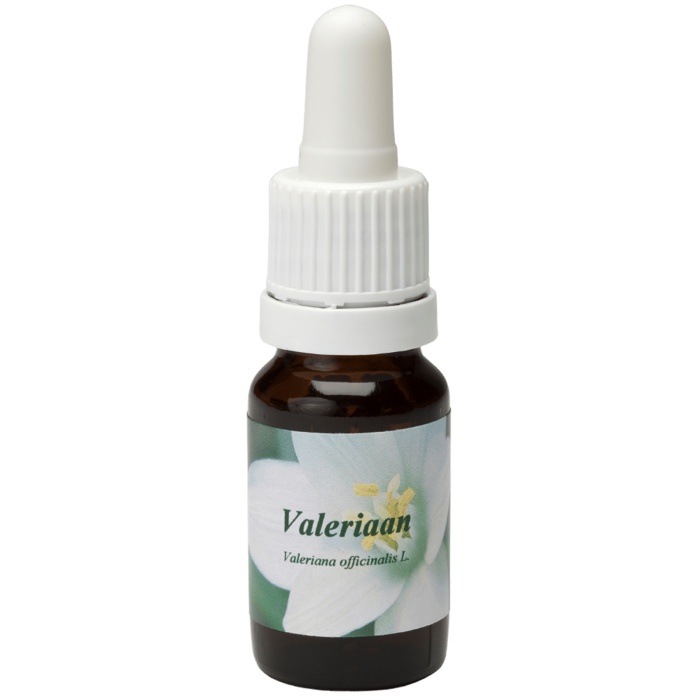 Pipetflesje 10ml. Bloesem Essence Valeriaan | Star Remedies