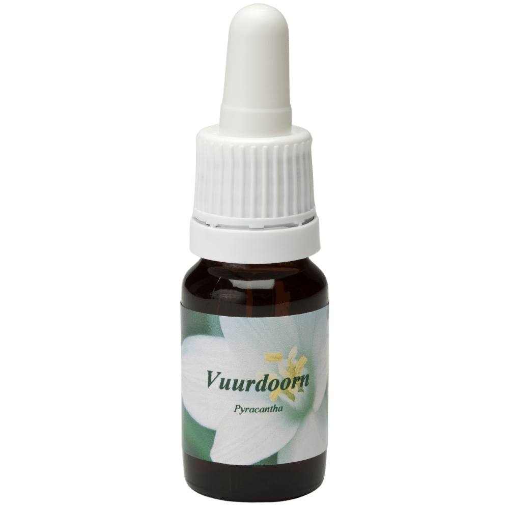 Pipetflesje 10ml. Bloesem Essence Vuurdoorn | Star Remedies