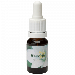 Pipetflesje 10ml. Bloesem Essence Waterlelie | Star Remedies