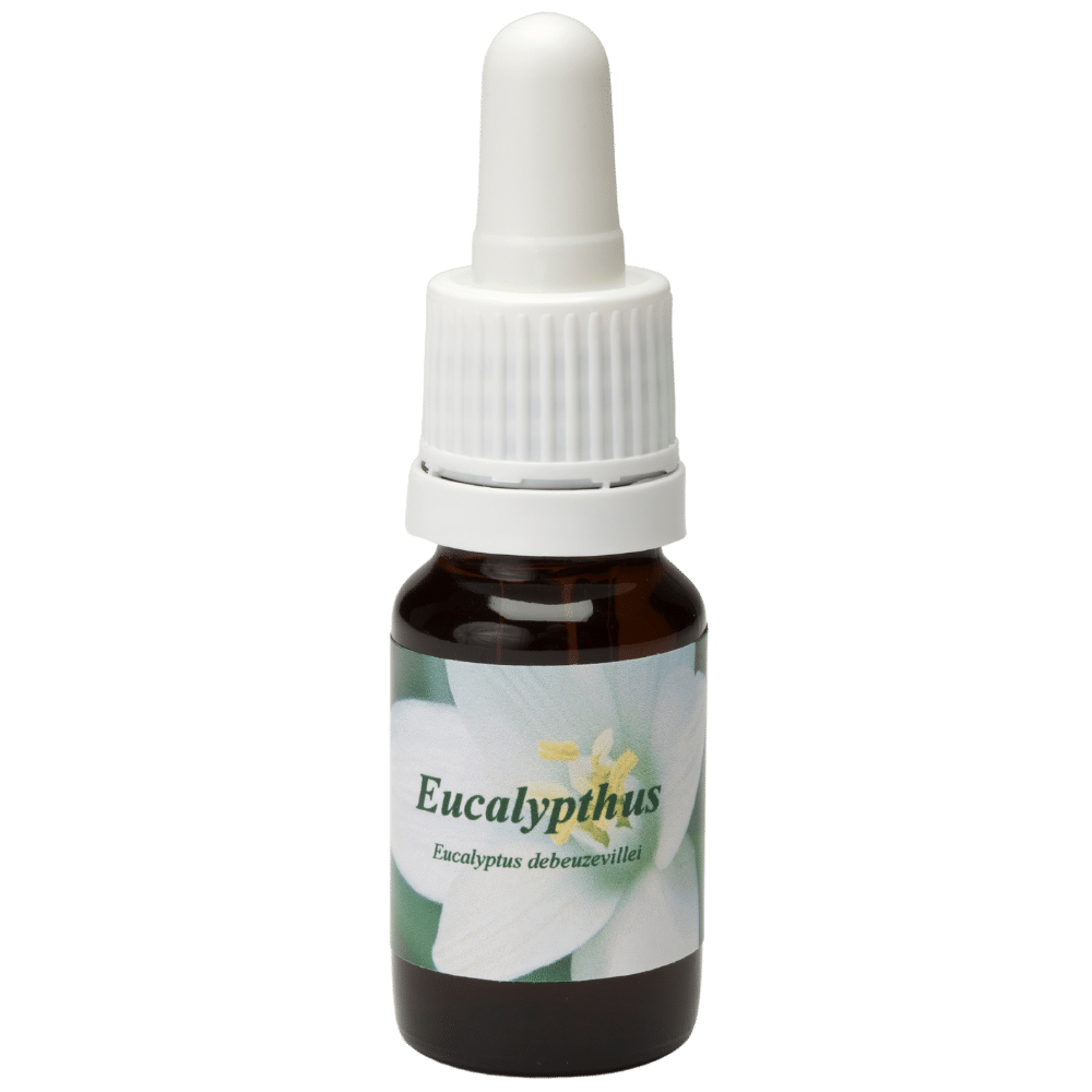 Pipetflesje 10ml. Bloesem Essence Eucalypthus | Star Remedies